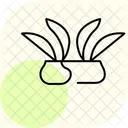 Paddy Lines Icon