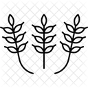 Paddy Patterns Farm Icon