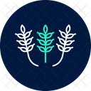 Paddy Patterns Paddy Patterns Icon