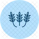 Paddy Patterns Paddy Patterns Icon