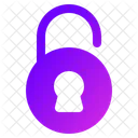 Padlock Password Lock Icon