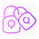 Padlock Lock Access Icon