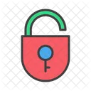 Padlock Password Safety Icon