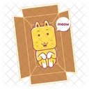 Page Not Found Cat  Icon