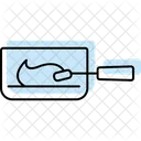 Paint Tray Painttray Paint Icon