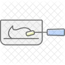 Paint Tray Painttray Paint Icon
