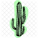 Color Cactus Icono