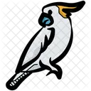 Pájaro  Icono