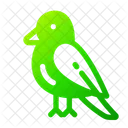 Bird Animal Primavera Icon