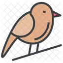 Navidad Pajaro Animal Icono