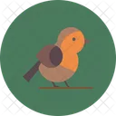 Pájaro  Icono