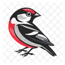 Pajaro Icono