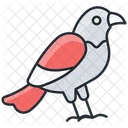 Pajaro Animal Naturaleza Icono