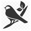 Bird Primavera Rama Icono