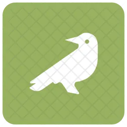 Pájaro  Icono