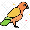 Pájaro  Icono