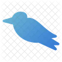 Pájaro  Icon