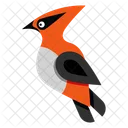 Pájaro  Icono