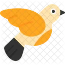 Pájaro  Icon