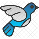 Pájaro  Icon