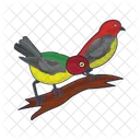 Pajaro Animal Paloma Icon