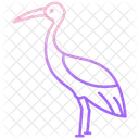 Pájaro grulla  Icono