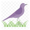 Pájaro  Icono