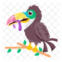 Pajaro Tucan Ramphastos Criatura Icon