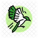 Vuelo Pajaro Progreso Icono