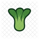 Pakcoy Food Vegetable Icon