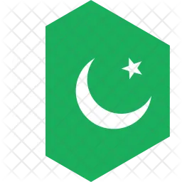 Pakistan Flag Icon