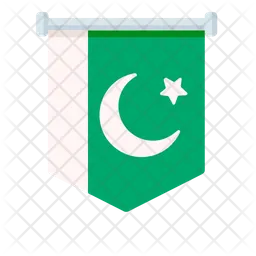 Pakistan Flag Icon