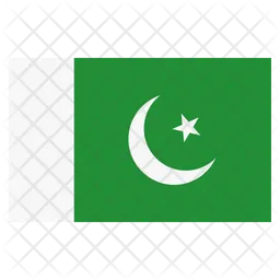 Pakistan Flag Icon