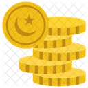 Pakistani Coins Rupee Pakistani Currency Icon