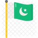 Pakistani Flag Icon