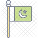 Pakistanische Flagge Nationalflagge Halbmond Und Stern Symbol