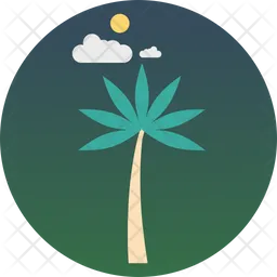 Palm  Icon