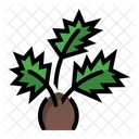 Palm Tree Pot Icon