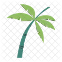 Palm Tropical Summer Icon