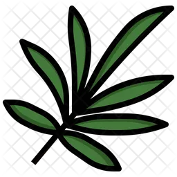 Palm  Icon