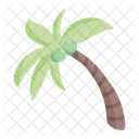 Palm Tree Coconut Icon