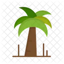 Palm Tree Brazil Icon
