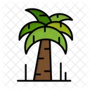 Palm  アイコン