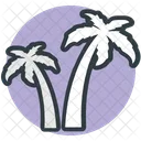 Palm Trees Coconut Icon