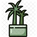 Palm Leaf Tree Leaf Icon