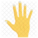 Palm Fingers Stop Icon