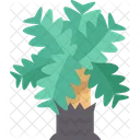 Palm Trees Desert Icon
