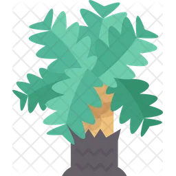 Palm  Icon