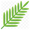 Palm Branch Branch Palm Symbol