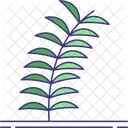 Palm Branch  Symbol
